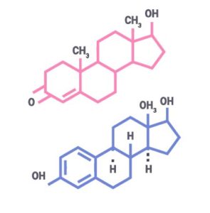 Image represantant L'Endocrinologie