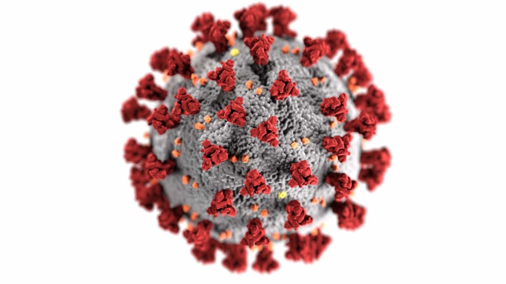 image 3D de coronavirus